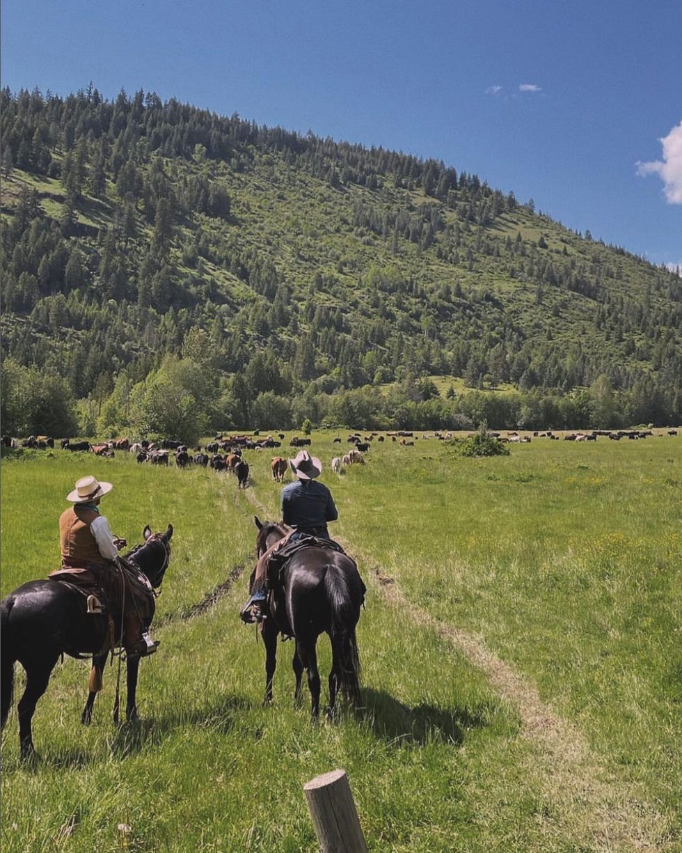 10 Best Dude Ranches to Visit on Vacation in the U.S.