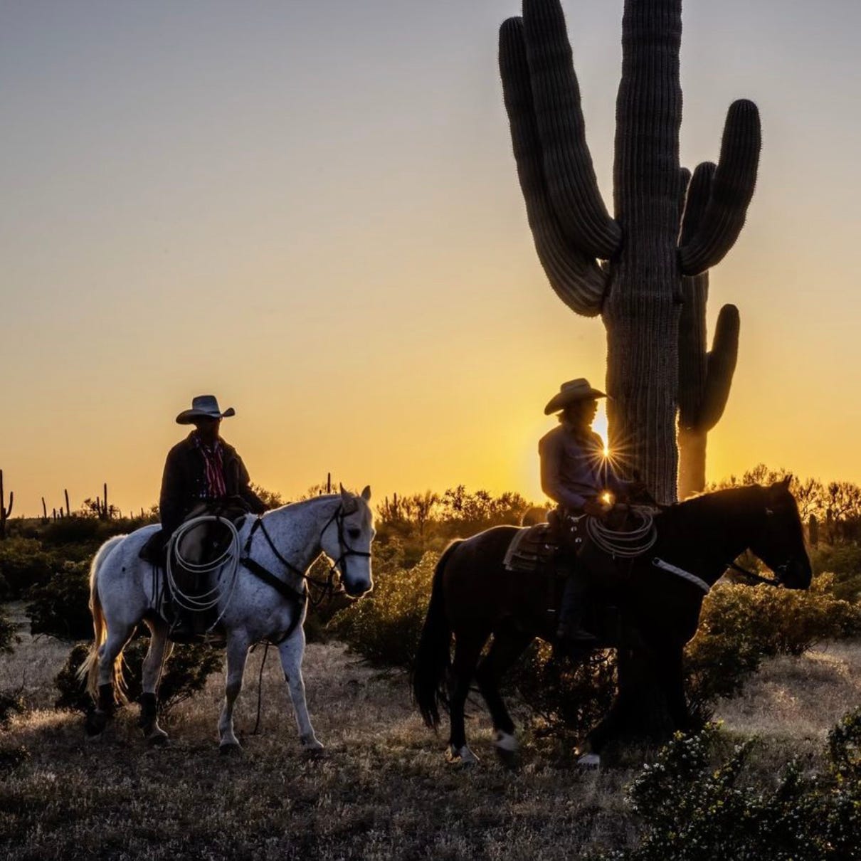 10 Best Dude Ranches to Visit on Vacation in the U.S.