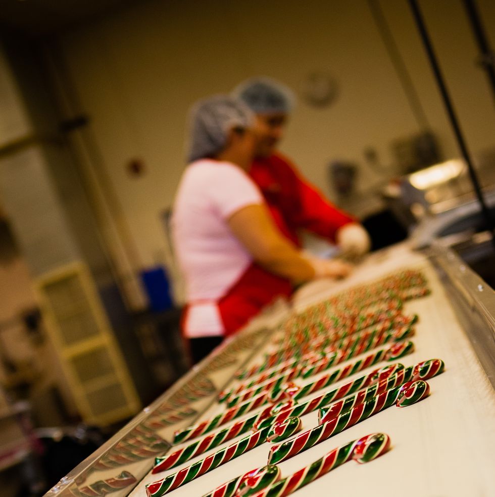 candy canes on an assembly line at hammond's, a good housekeeping pick for best factory tours