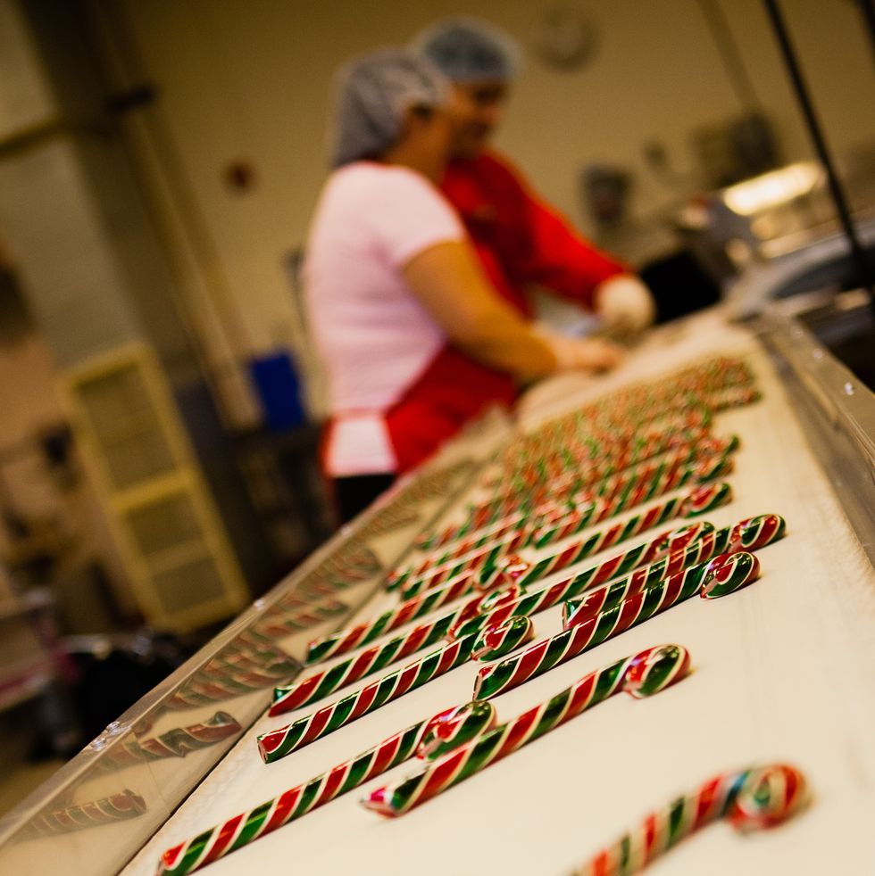 candy canes on an assembly line at hammond's, a good housekeeping pick for best factory tours