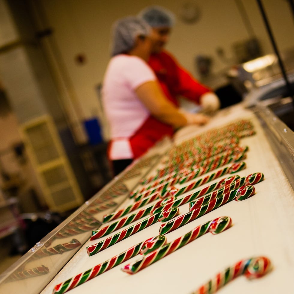 Candy canes on an assembly line at Hammond's, a Good Housekeeping pick for best factory tours candy canes on an assembly line at hammond's, a good housekeeping pick for best factory tours