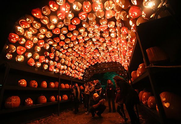 new york, united states   october 28 visitors are seen inside a tunnel made of pumpkins at the great jack olantern blaze spectacle which features more than 5,000 hand carved, illuminated pumpkins created by professional artists during halloween season in croton on hudson village of new york city, united states on october 28, 2014 photo by cem ozdelanadolu agencygetty images