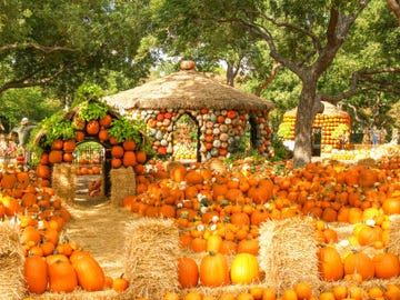 best fall festivals