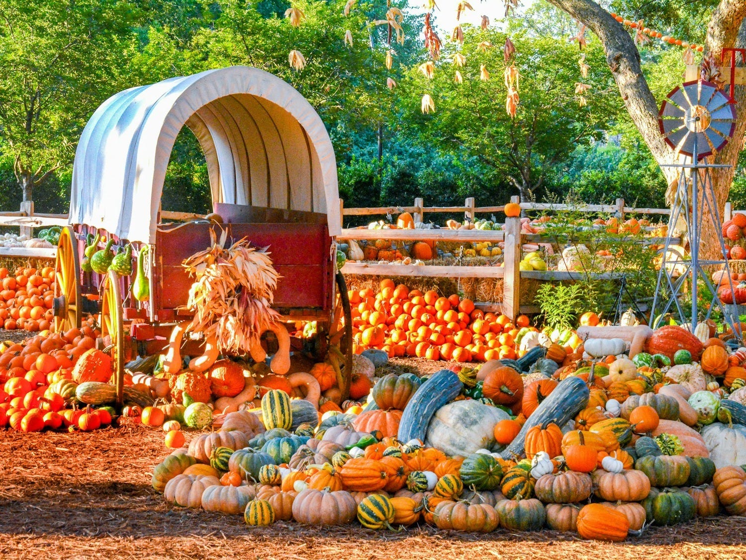 15 Best Fall Festivals Happening Across the U.S. in 2024