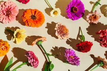 floral pattern made of various bright autumn flowers on beige background