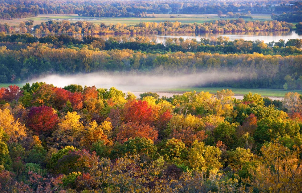 best fall foliage in the us illinois