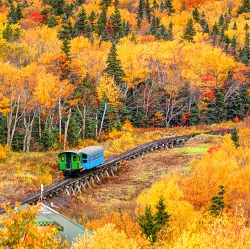 cog railway car going through fall forest on mt washington in new hampshire