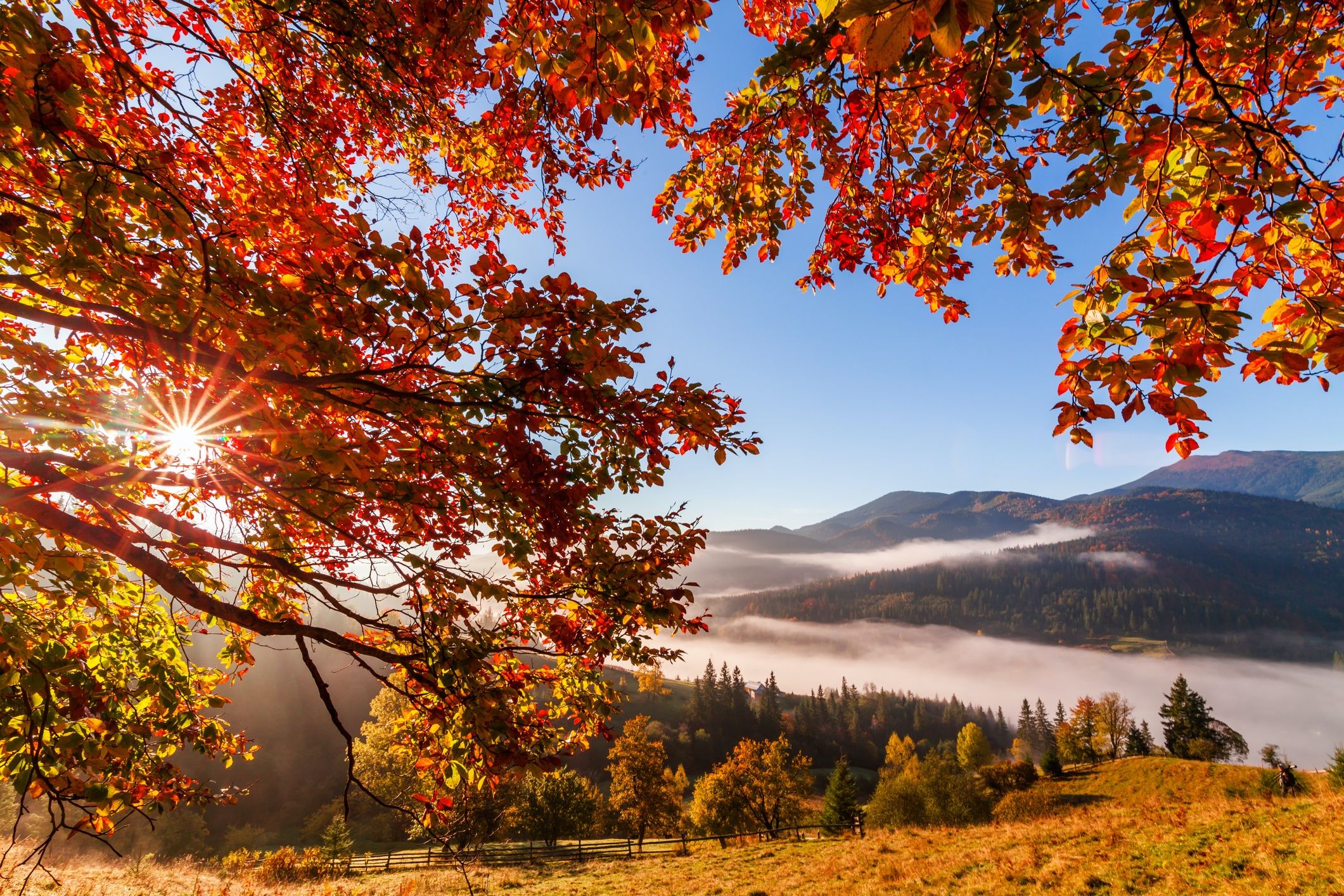 Amazing fall color.  Autumn scenery, Beautiful landscapes