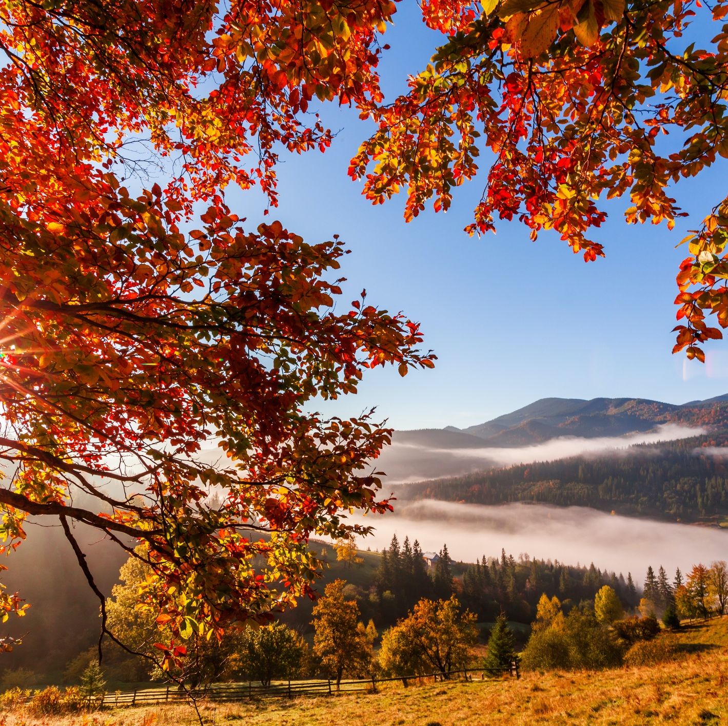 beautiful fall landscape