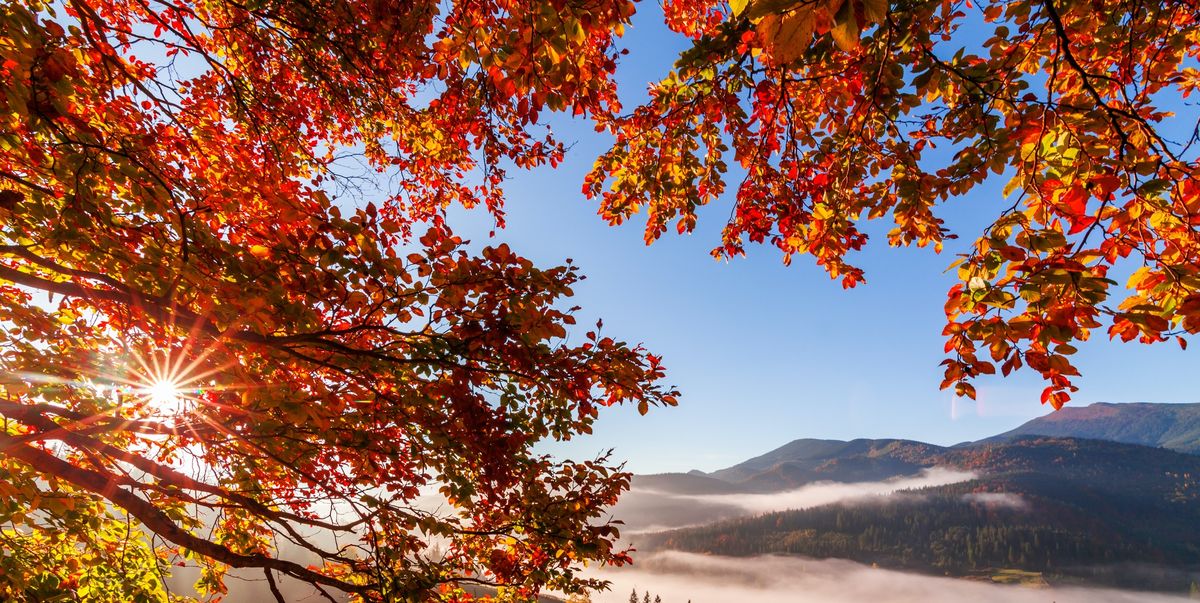 50 Beautiful Fall Pictures from Around the World