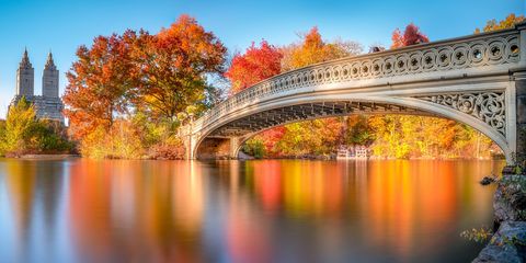 best fall picture of bridge in central park