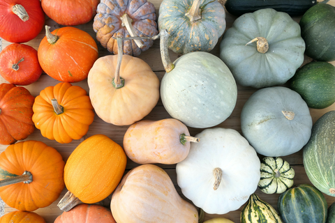 best fall pictures of colorful pumpkins and squashes