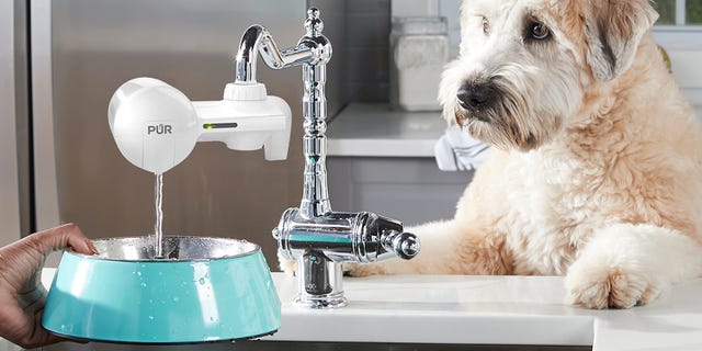 best faucet water filters