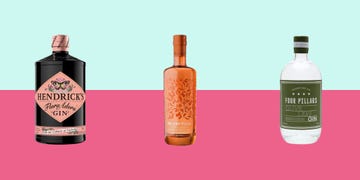 best flavoured gin to buy