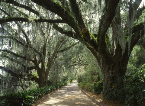 15 Beautiful Florida Gardens - Best Florida Gardens to Visit