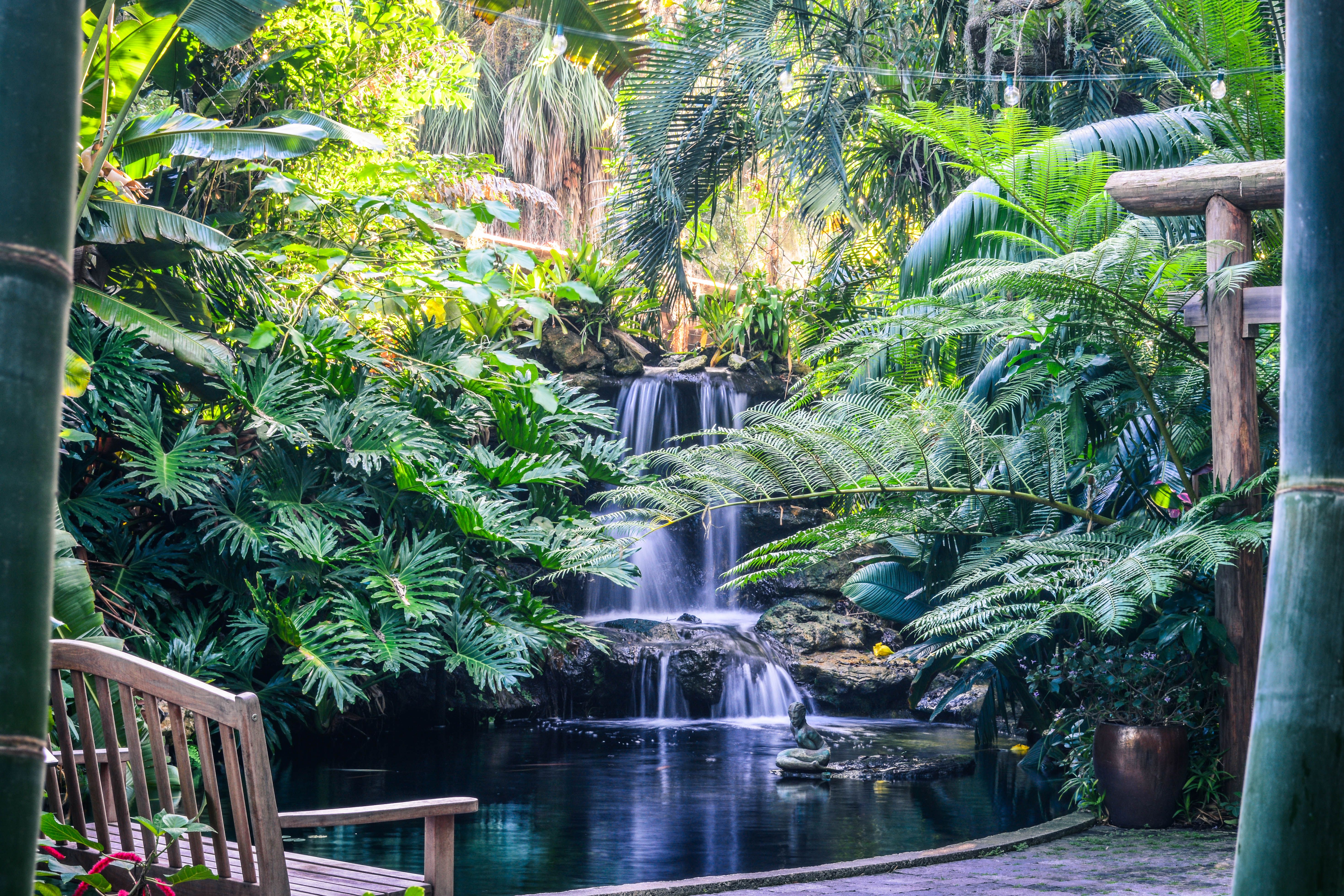 15 Beautiful Florida Gardens Best