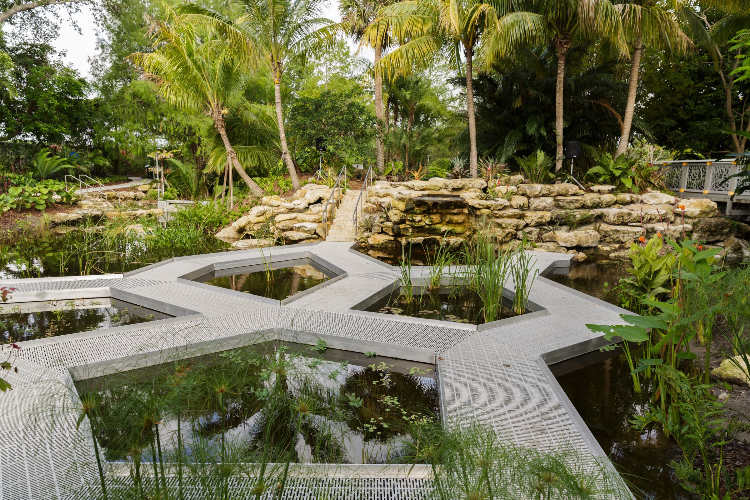 8 Eclectic Gardens to Explore in The Palm Beaches