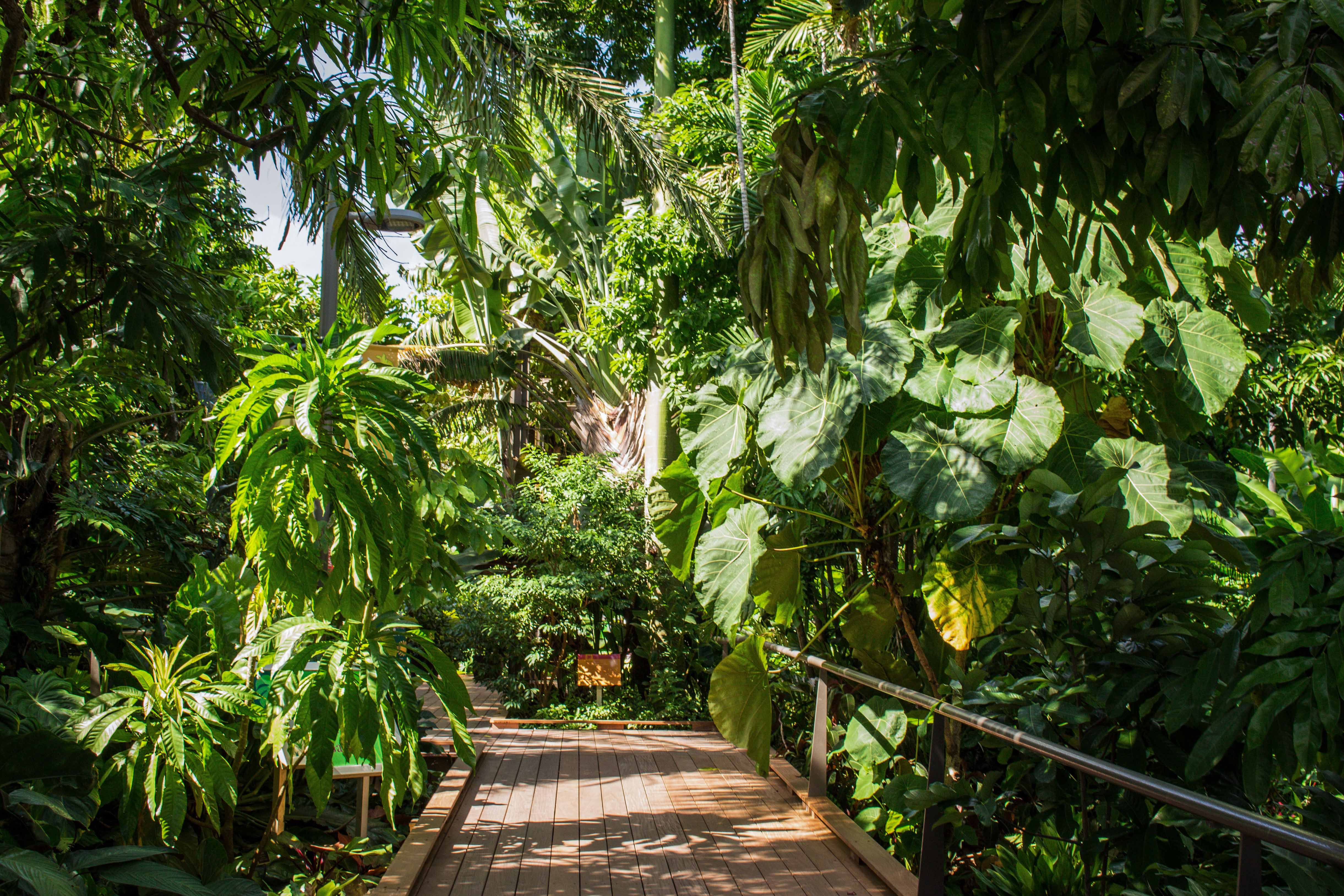 15 Beautiful Florida Gardens Best
