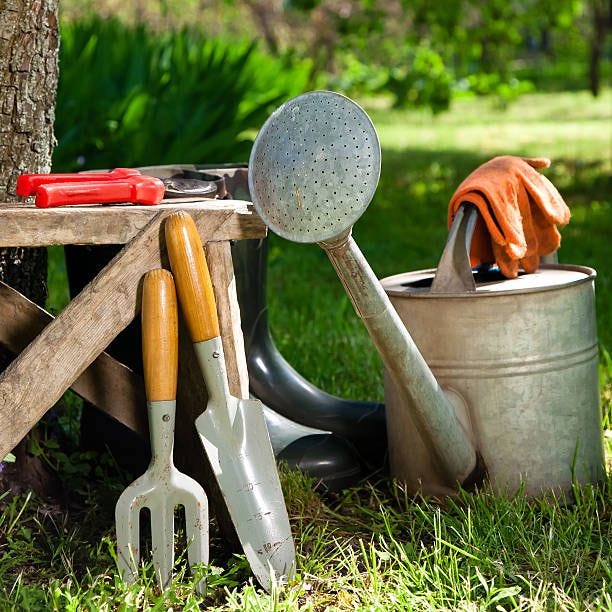 garden tools in grass