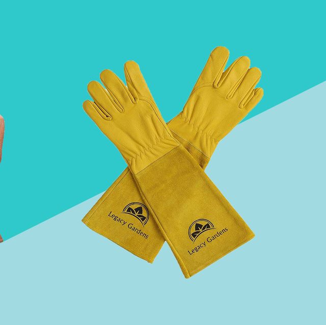 Do's and Don'ts of Buying Moving Gloves