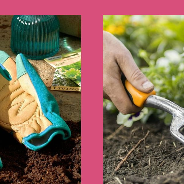 13 Best Gardening Tools to Buy in 2024