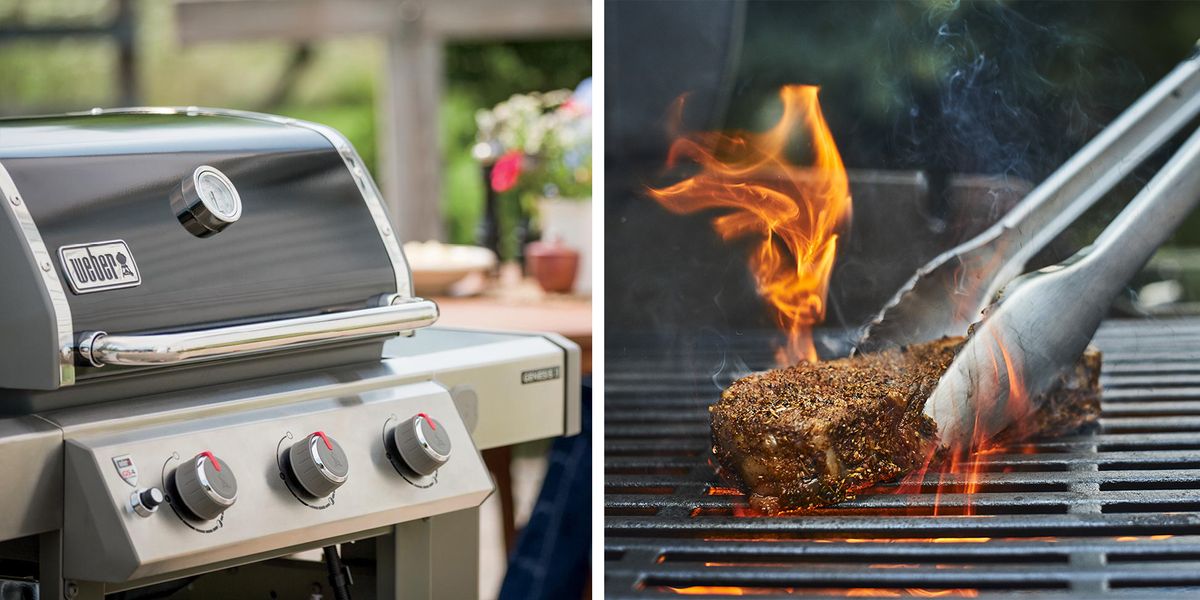 weg Joseph Banks spade 10 Best Gas BBQ Grills for 2021 - Outdoor Gas Grill Reviews
