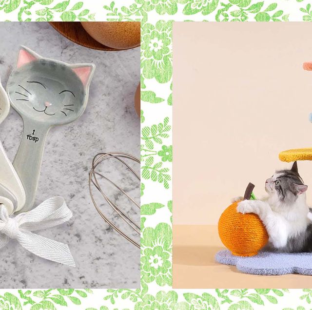 Cat Lover's Notebook: Fun and useful gift for all cat and kitten