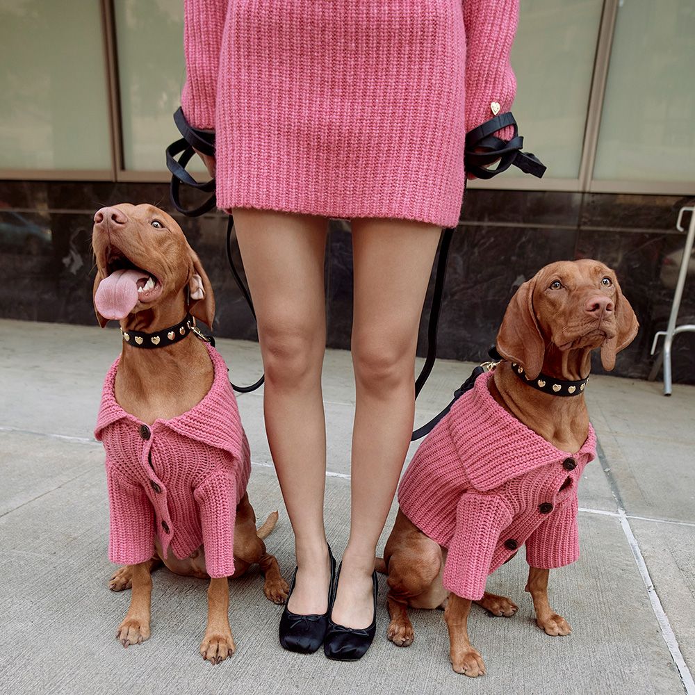 a woman stands on the street with two dogs wearing sandy liang sweaters