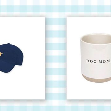 navy baseball cap with yellow dog on it and white mug that says dog mom
