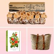 best gifts for gardeners including mushroom grow kits, garden log books, overnight masks, wicker bags, toadstool slippers, claw gardening gloves, bee homes, and more