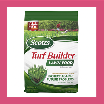 best fertilizer for grass