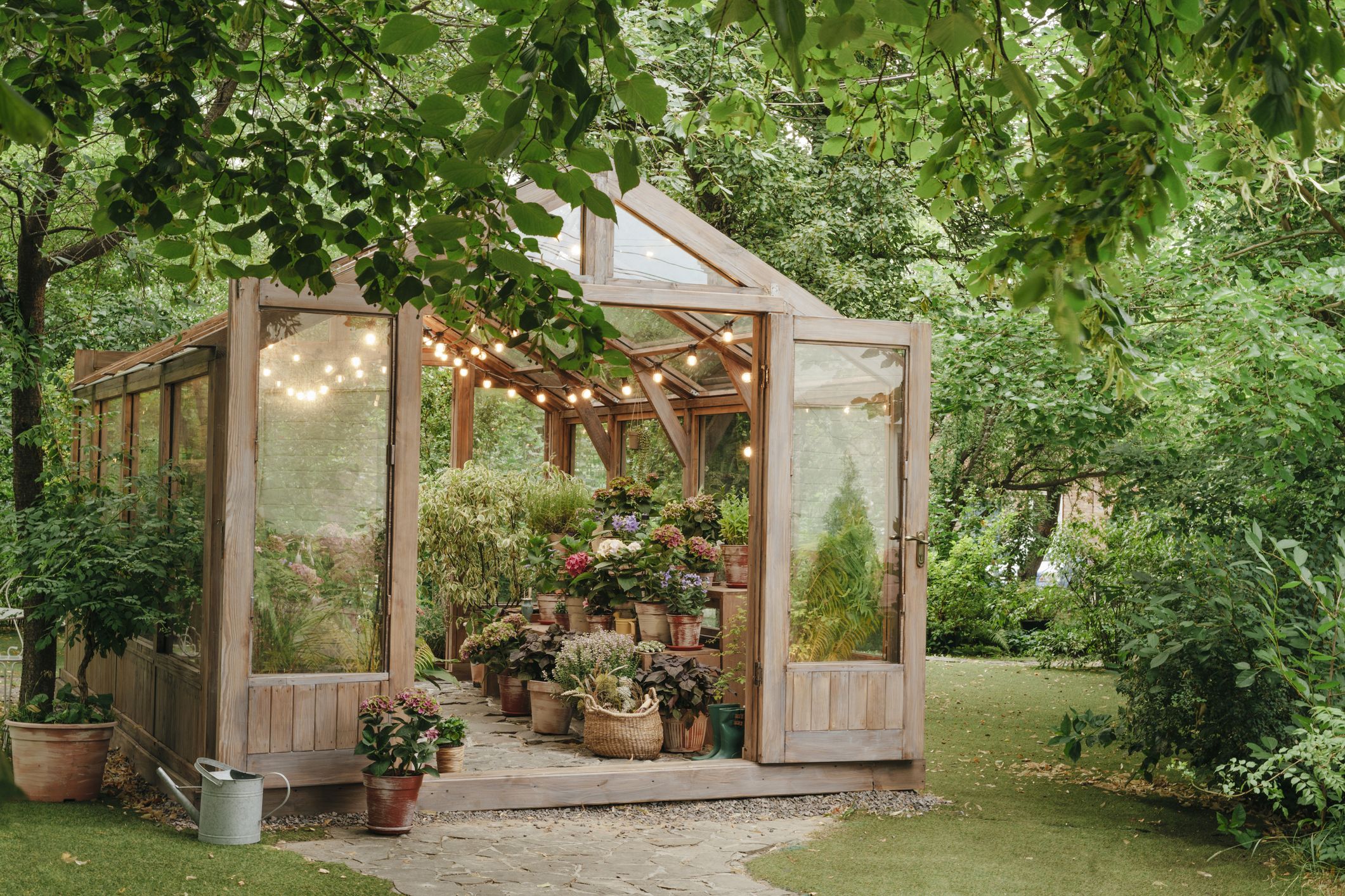 Best backyard greenhouse