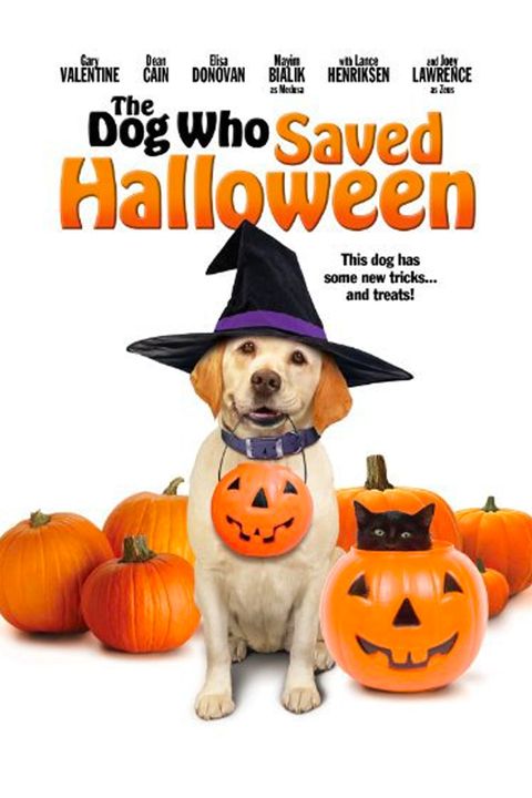 best halloween movies for kids the dog who saved halloween