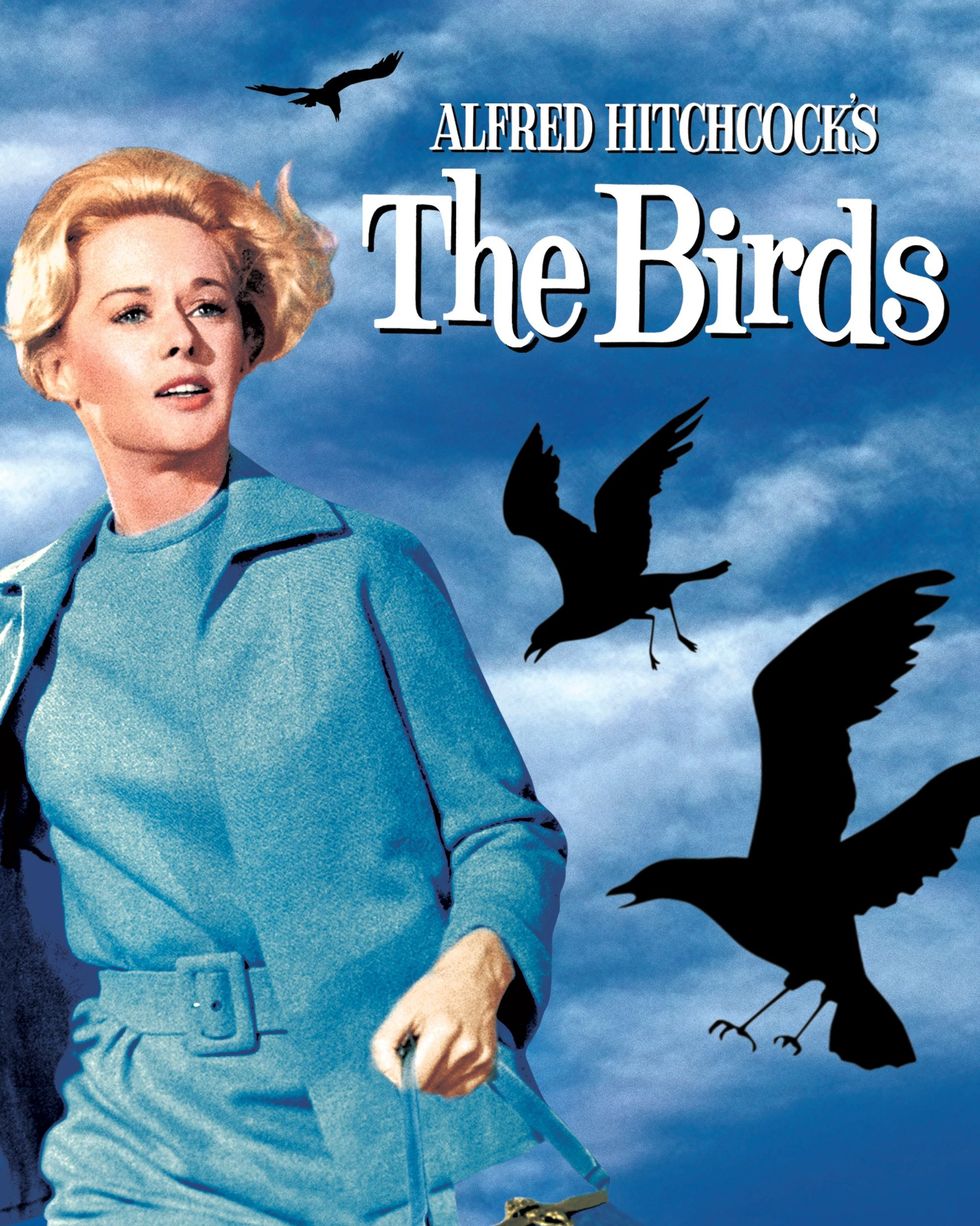 best halloween movies on netflix the birds