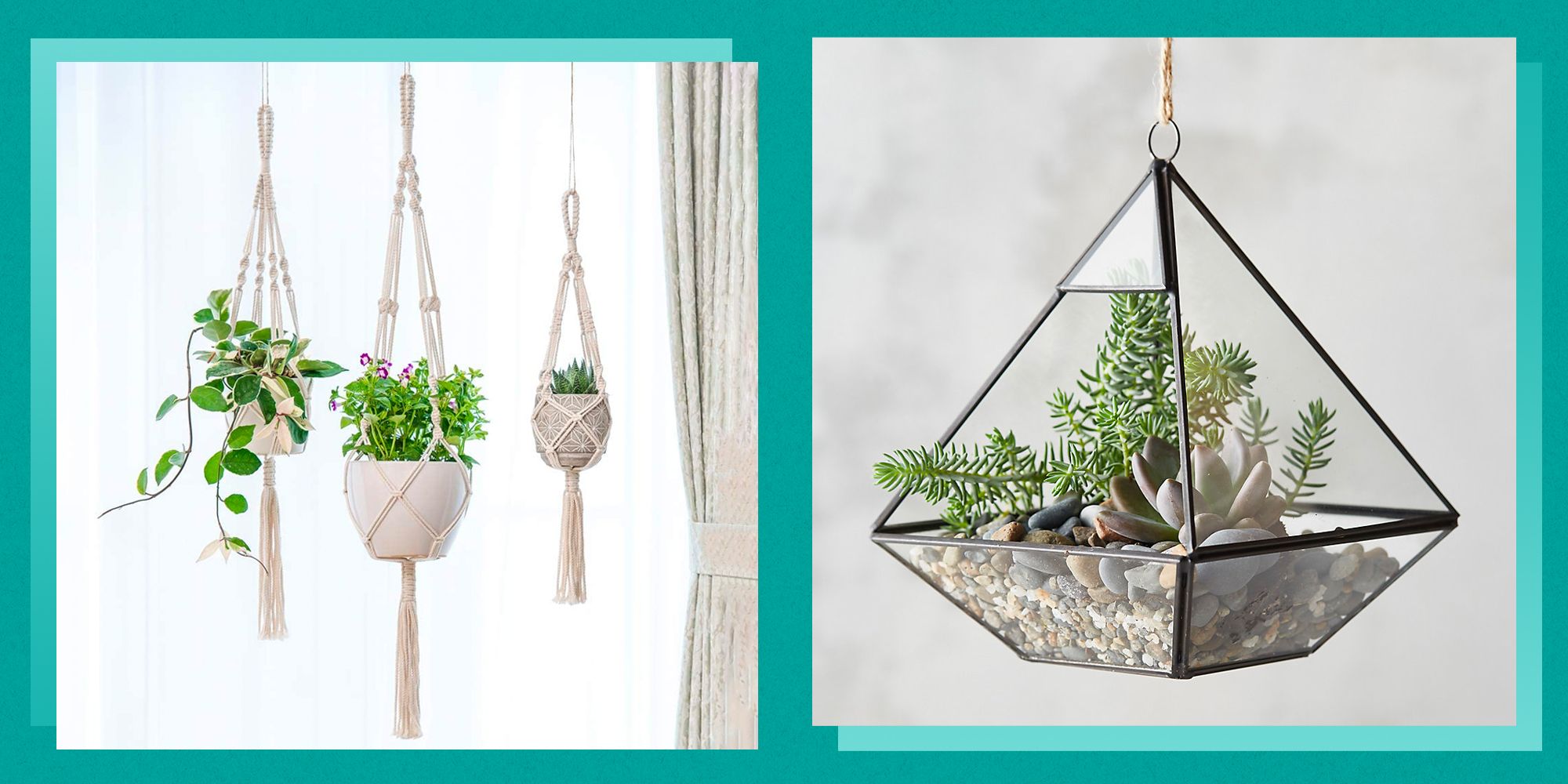 https://hips.hearstapps.com/hmg-prod/images/best-hanging-planters-1673282209.jpg