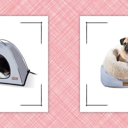 best heated dog beds