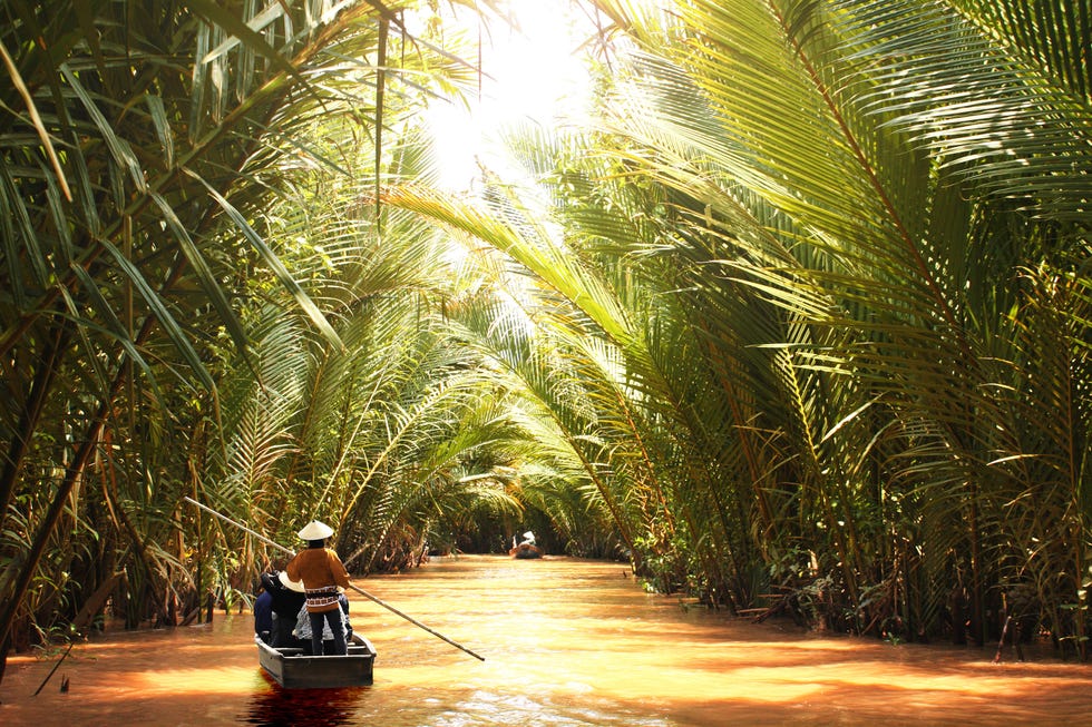 people boating in the delta of mekong river, vietnam, asia a tourist attraction boat ride through mekong delta canals