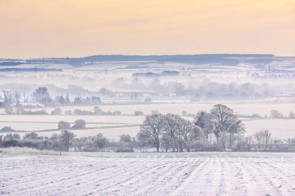 as sunset approaches the mist hangs in valleys over snowy, oxfordshire fields near wittenham clumps