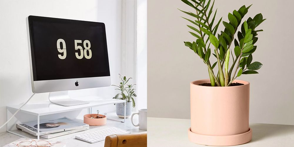 8 essential items to have for your office desk