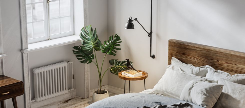 a bed with a plant on it