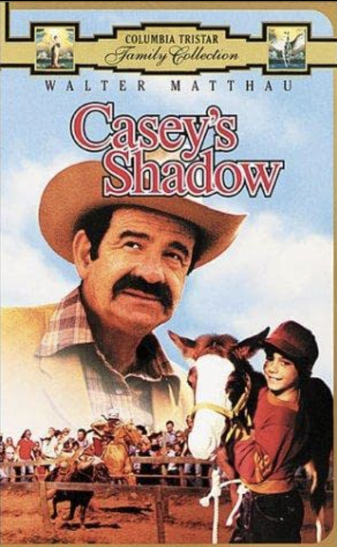 best horse movies casey's shadow