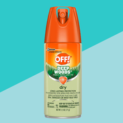 best insect repellents ticks mosquitoes