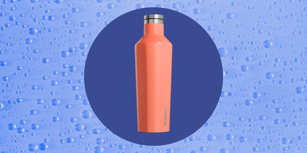 Best Insulated Water Bottles Of 2022 For Cold & Hot Drinks » Explorersweb