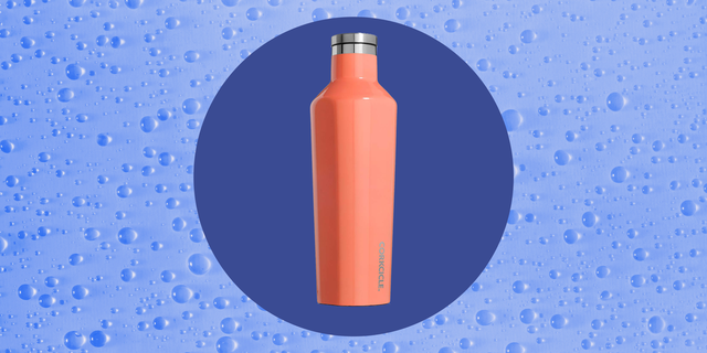 https://hips.hearstapps.com/hmg-prod/images/best-insulated-waterbottles-1552504946.png?crop=1.00xw:1.00xh;0,0&resize=640:*