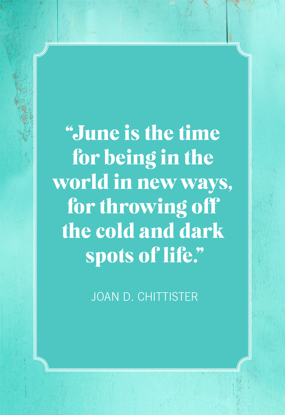 20 Best June Quotes Short, Funny, and Cute Quotes About June