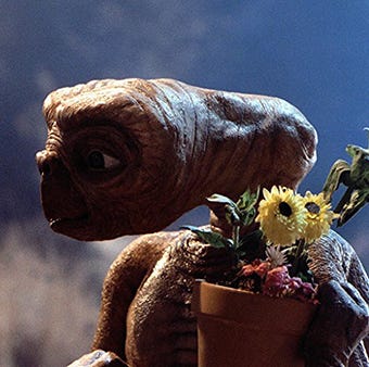 A scene from E.T. the Extra-Terrestrial, a Good Housekeeping pick for best kids movies a scene from et the extra terrestrial, a good housekeeping pick for best kids movies