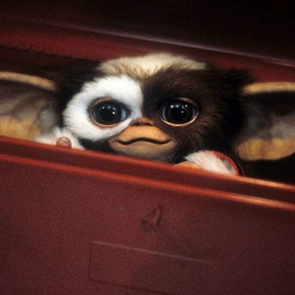 gizmo the mogwai peeks out from a drawer in a scene from 'gremlins,' a good housekeeping pick for best scary movies for kids