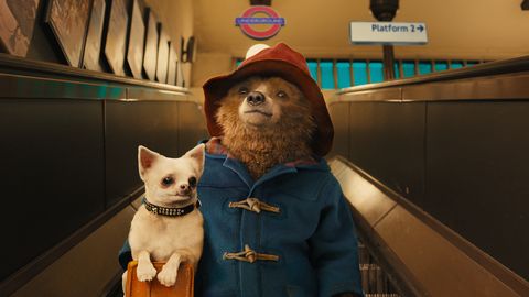 paddington bear rides up a tube escalator with a suitcase and dog in a scene from paddington the movie is a good housekeeping pick for best kids movies on netflix