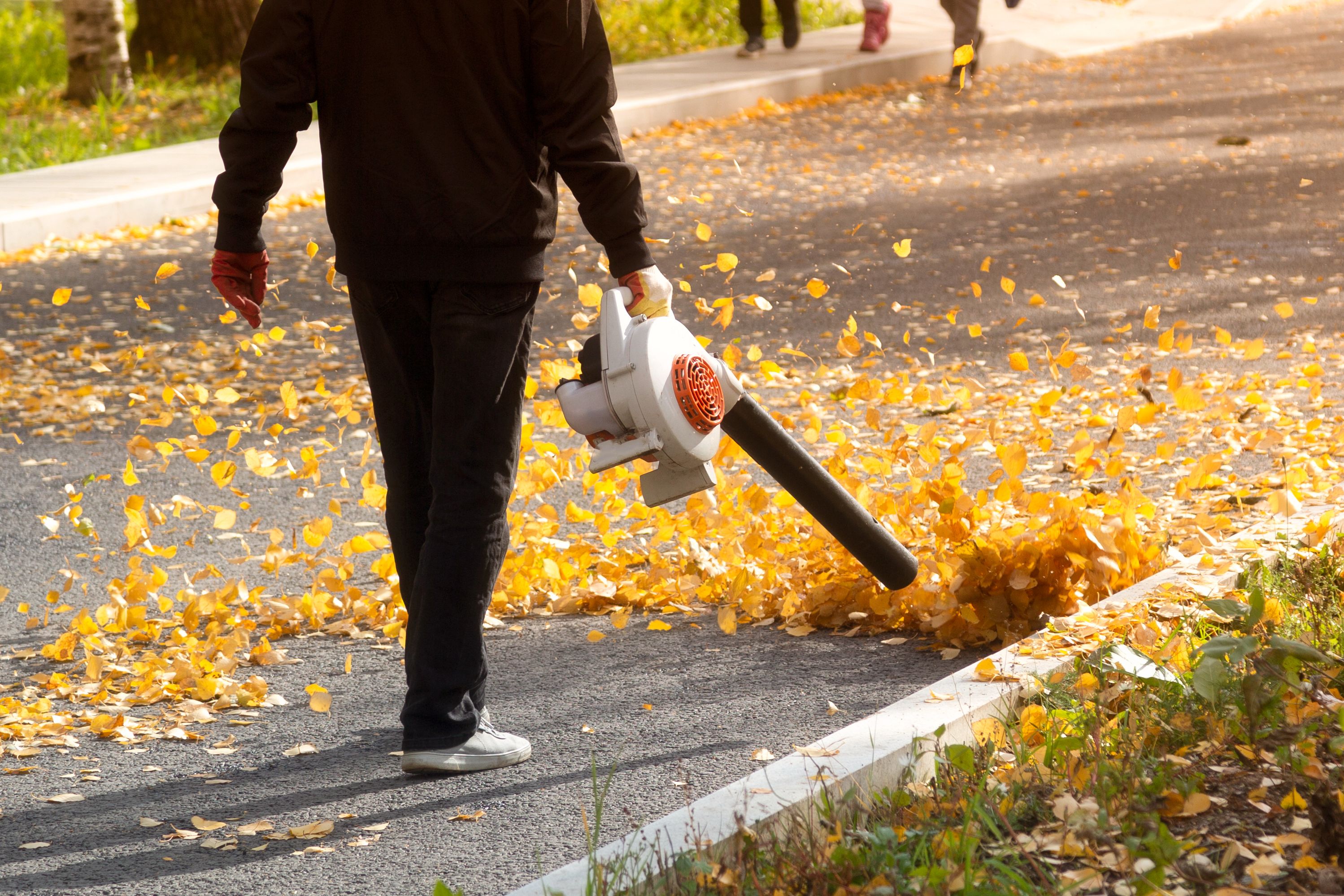 Walk-behind leaf blower Leaf Blowers at