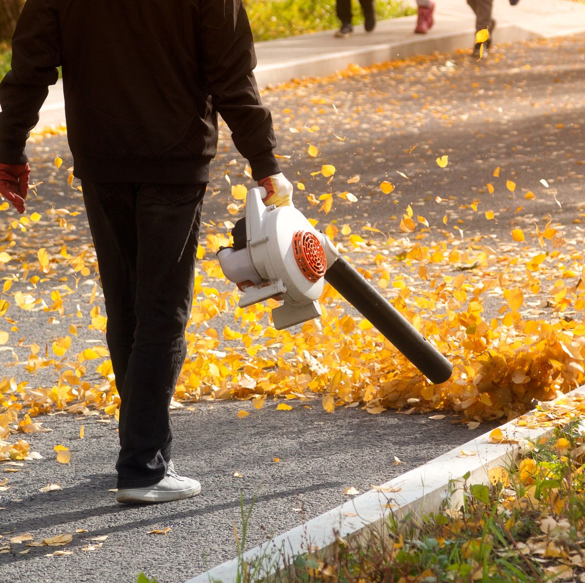 Best Leaf Blowers 2024: Cordless, Corded & Electric Vacuums - Which?